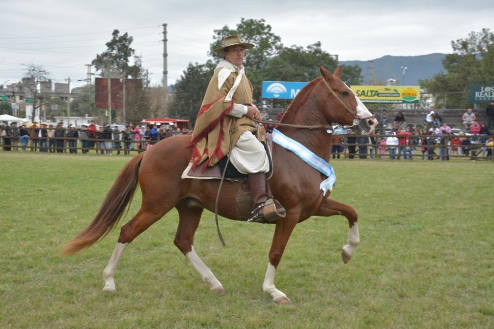 El Concurso Nacional de Caballos Peruanos de Paso batió varios récords