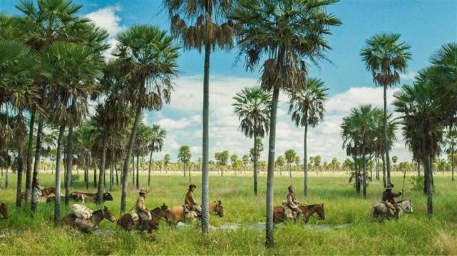 IMAGEN DE LA NACION, ZAMA.