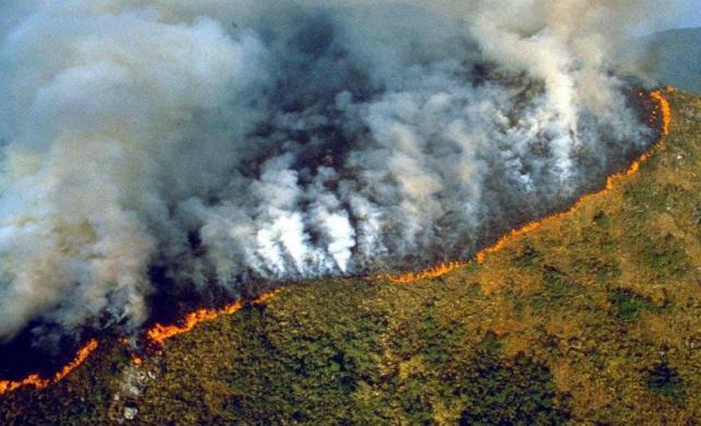 Amazonas en llamas. Foto de https://www.eldesconcierto.cl