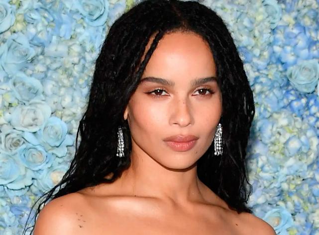 Quién es Zoë Kravitz, la actriz que interpretará a Catwoman en la nueva  película de Batman - LA GACETA Salta