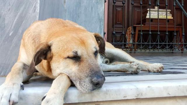 Foto: LA GACETA 